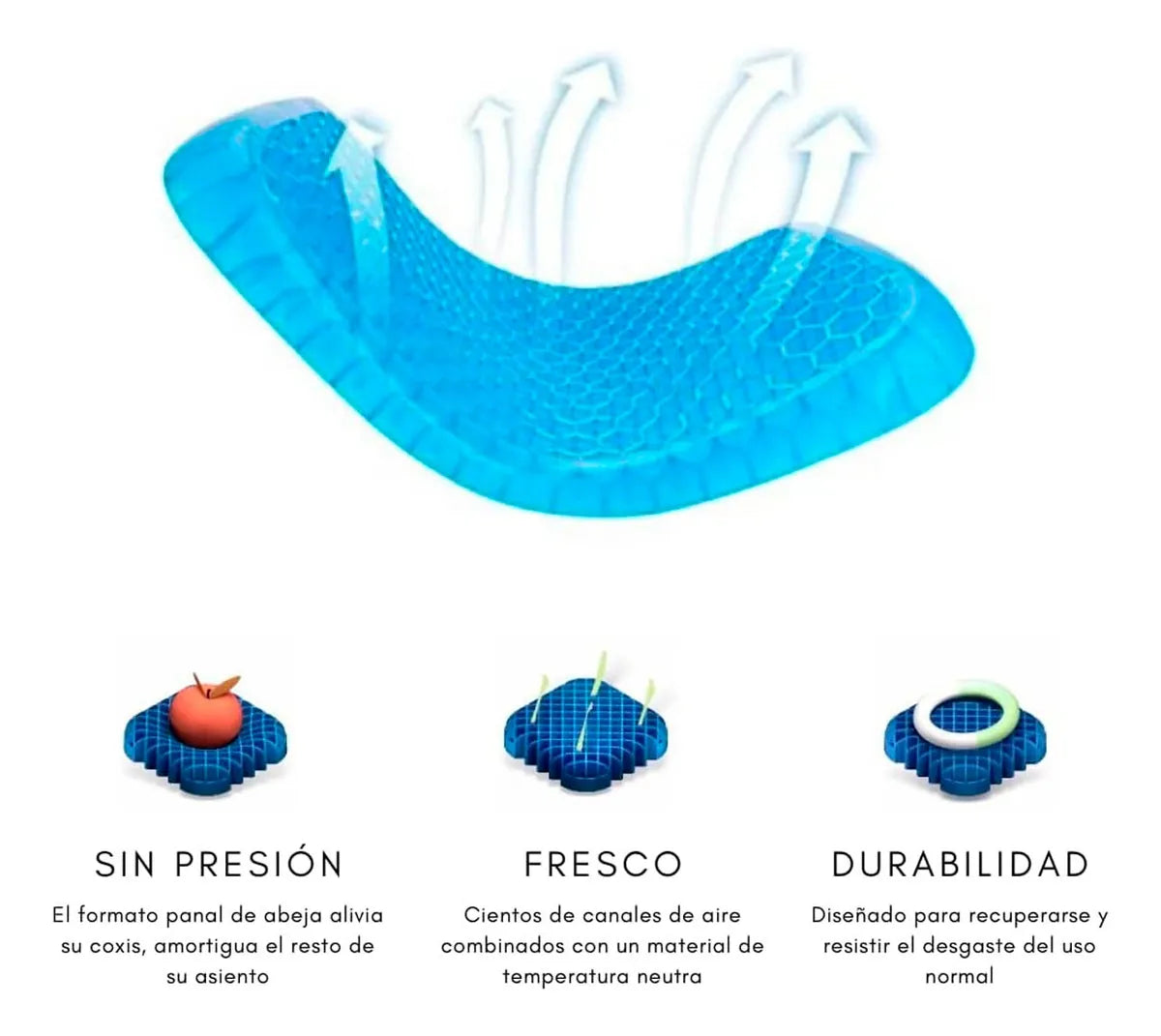 COJIN AZUL EN GEL