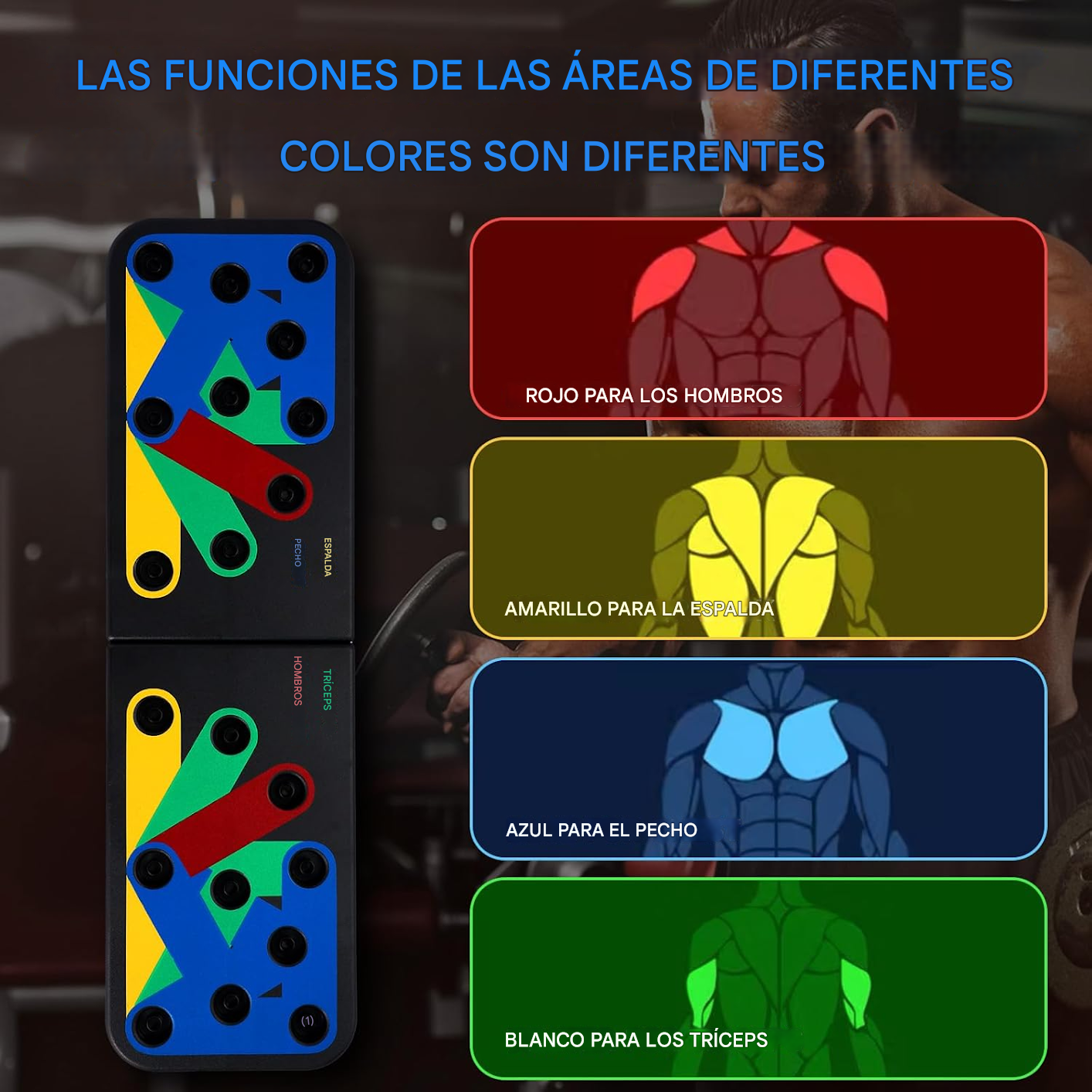 TABLA DE FLEXIONES